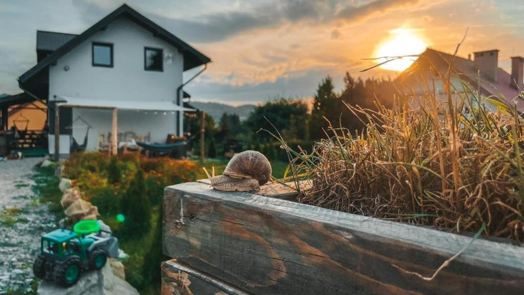 Magiczny Przystanek Apartman Myczków Kültér fotó